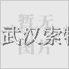 Ӧ//Щ/人